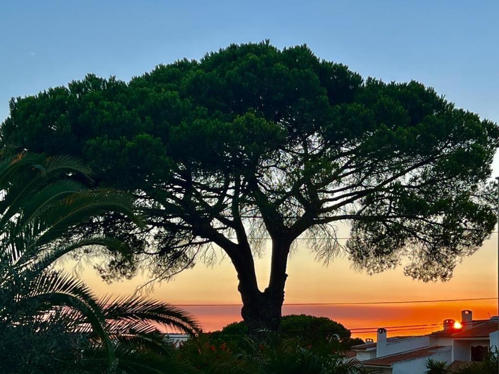 Vila De Sol Sesimbra Eksteriør billede