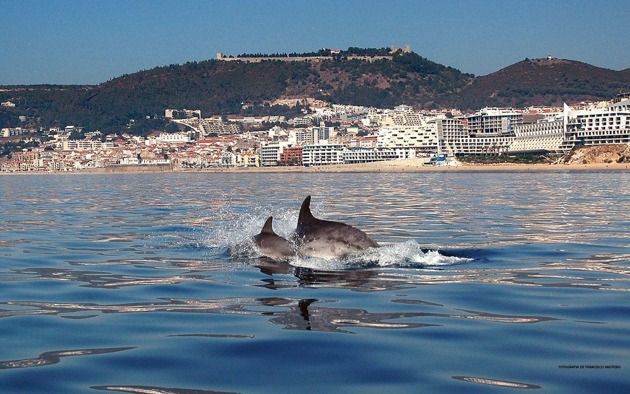 Vila De Sol Sesimbra Eksteriør billede